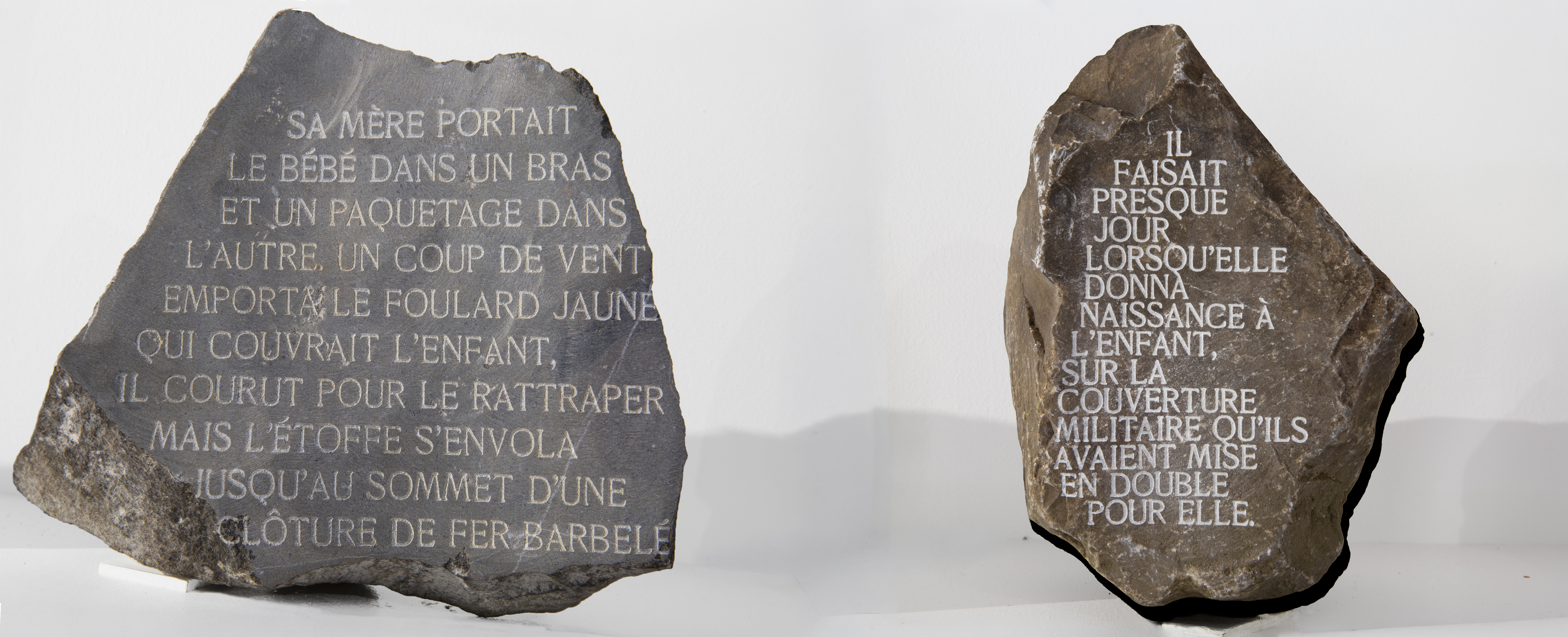 Ostraca 3